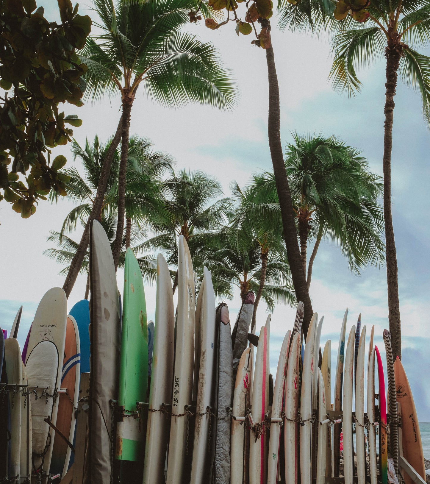Surfs Up